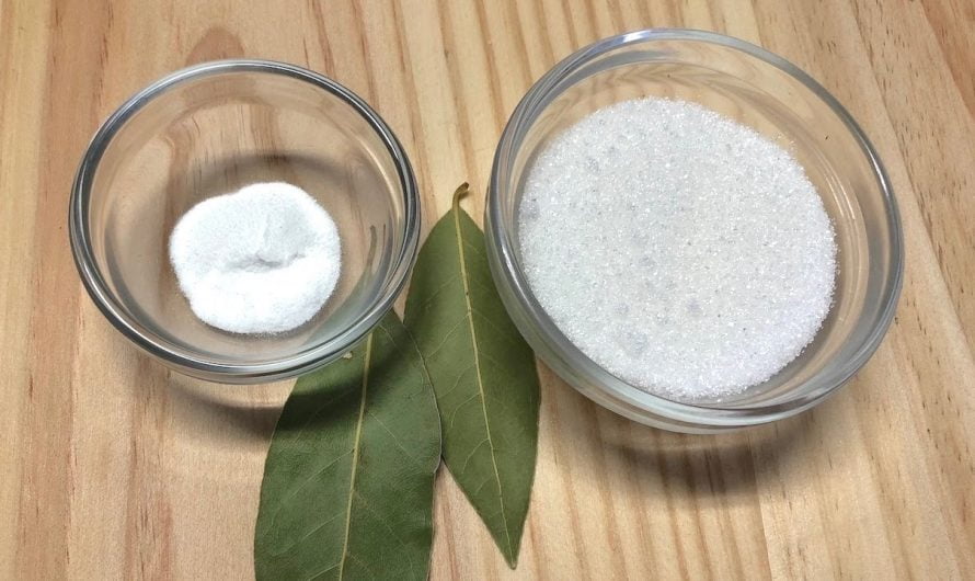 Coloque isso na sua casa e veja como DESAPARECE as  MOSCAS + MOSQUITOS + BARATAS